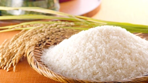 Pemerintah Diingatkan Berhati-hati dalam Mengendalikan Harga Beras