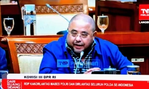 WhatsApp Image 2025-11-28 at 10.09.56