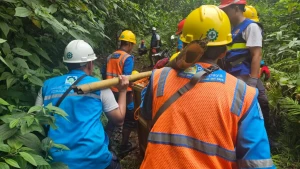 WhatsApp Image 2026-01-07 at 14.14.26