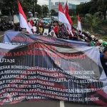 WhatsApp Image 2026-02-03 at 17.48.55